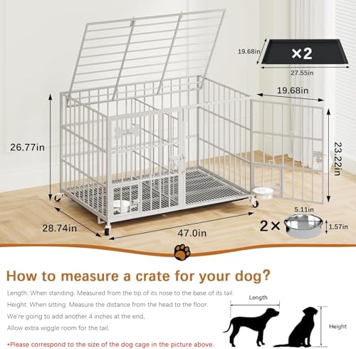 Hundekäfig, Hundebox mit Bodenschale, Hundekäfig mit Trennwand, Hundegitterbox mit 2 Türen und Tablett, 2 in 1 Doppelbox Hundegitterbox für Große und mittlere Hunde, 120 x 73 x 68 cm, Silbrig