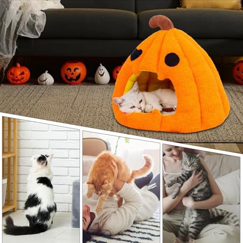 Lit de couchage chaud citrouille et grotte douce pour chatons - 5