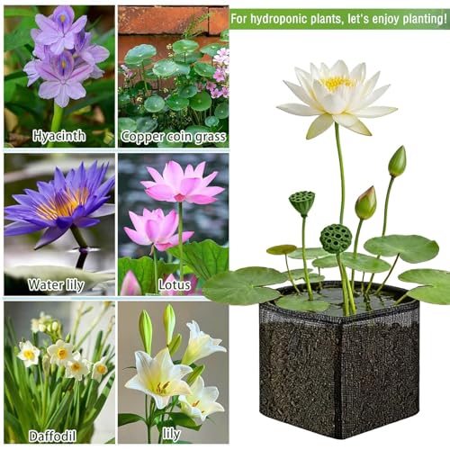 Cesta para plantas de estanque: 4 bolsas de malla para jacinto acuático 5