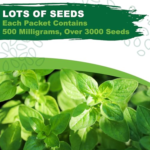 TKE Farms & Gardens - Oregano Seeds for Planting, 3000+ Non-GMO Heirloom Seeds, 500mg, Open Pollinated Perennial Herb, Origanum vulgare, for Indoor & Outdoor Gardens, Qty 1 - Image 5