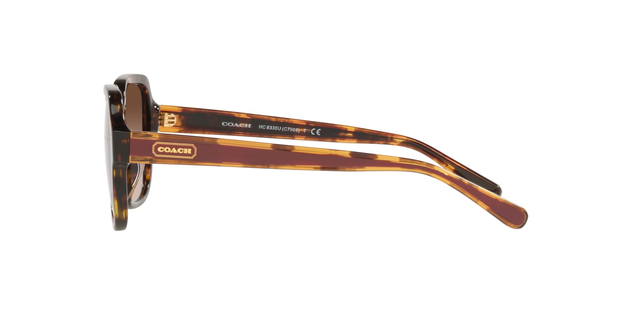 Gafas de Sol Coach C7989 CH 8335U Brown/Brown Sahded 53/18/140 mujer