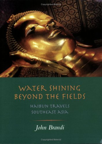Water Shining Beyond the Fields: Haibun Travels... 1893003094 Book Cover