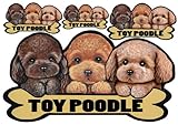 犬ステッカー トイプードル49 シール