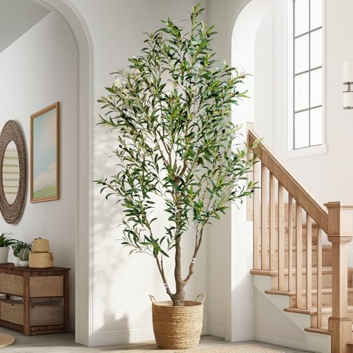 Artificial Olive Tree with White Pot & Moss