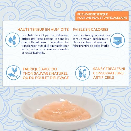 INABA Churu Skin & Coat - Friandises pour Chats en Purée au Poulet - Oméga 3 & 6 et Taurine - Snacks pour Félins, Texture Onctueuse - Nourriture pour Chats, Peau & Pelage - 4 Tubes x 14g - Image 8