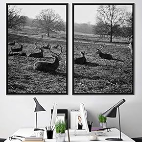 signwin 2 Piece Framed Canvas Wall Art Deers...