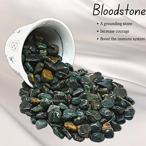 Image of Amazing Gemstone Bloodstone Crystal Chips Aquarium Gravel Rocks - Bloodstone Chips Bulk Fish Tank Gravel, Small Tumbled Stone Chips and Tiny Crystals for Decoration (Natural AAA Grade Gemstones)