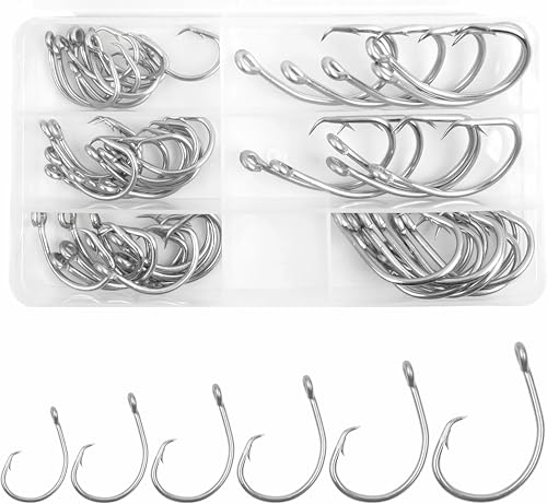 Hameçons circulaires de pêche pour capture sécurisée de bar et poisson-chat