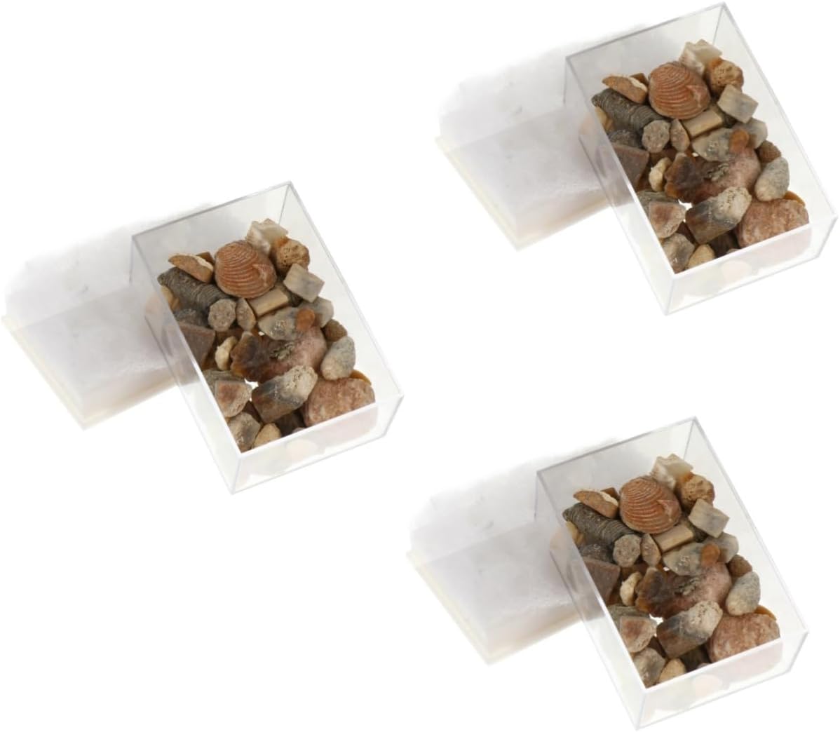 Cabilock Natural Mineral Specimen Collection Box Mixed for Educational Use for Museums Teaching and Rock Enthusiasts