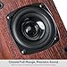 Saiyin Speakers for Vinyl Record Player, Bluetooth Turntable Speakers with 45 RPM Adapter and AUX Input(Turntable not Included)