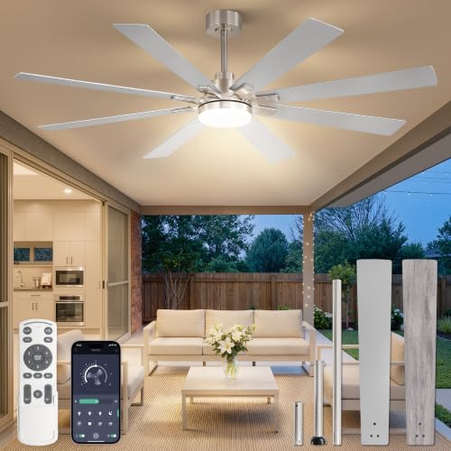 Fanbulous 65 Inch Ceiling Fans with Lights DC Motor, Remote & APP Control