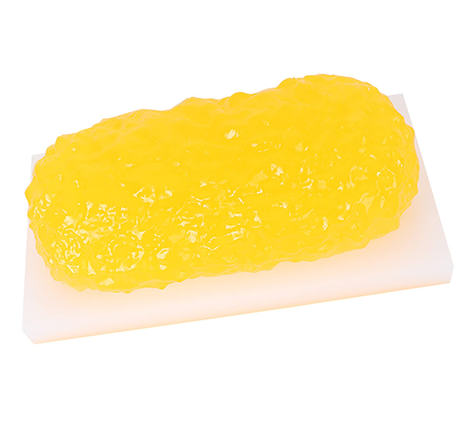 Buy Realistic Anatomical Model, Life Size Anatomy Model Human Body