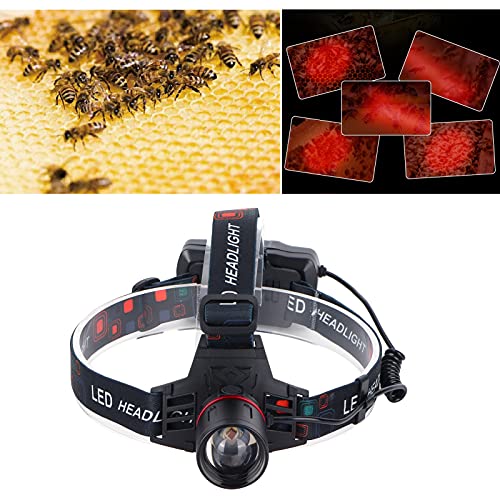 LED-Stirnlampe, Rotlicht-Stirnlampe mit hoher Helligkeit für die Vogelbeobachtung für die Imkerei für die… – Bild 4
