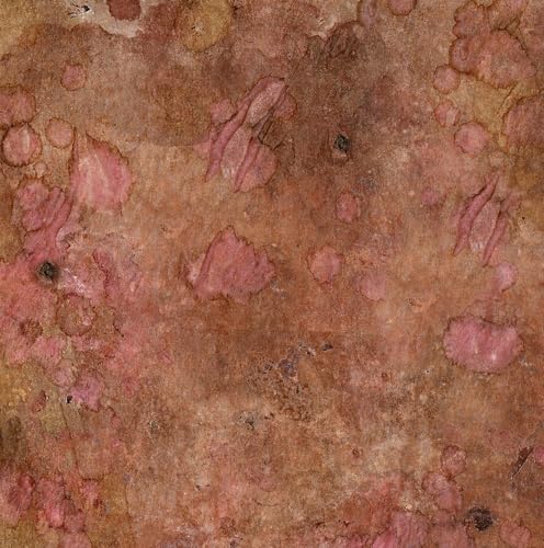 Sugared and Bronzed-2-6L Poster Print - Melissa Renee (12 x 12)