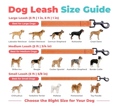 Image of Best Pet Supplies Voyager Reflective Dog Leash or Collar with Neoprene Handle, for Small, Medium, and Large Breed Puppies, Cute and Heavy Duty for Walking, Running and Training - Orange (Leash), L