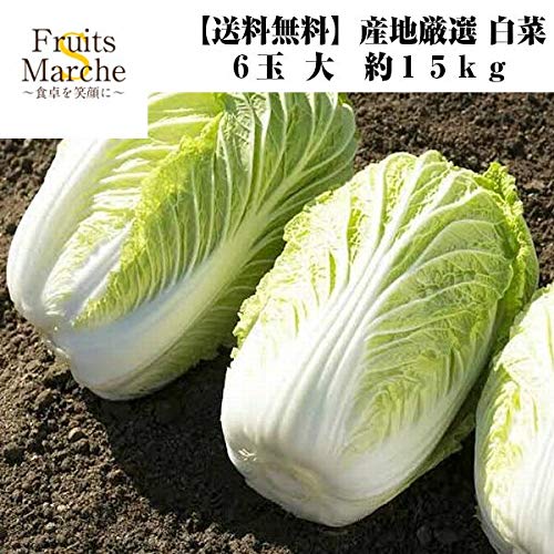 Amazon.co.jp: 【産地厳選】白菜 6玉 大 約15kg : 食品・飲料・お酒