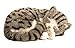 Perfect Petzzz - 4930 - Peluche - Chat Tigre Gris