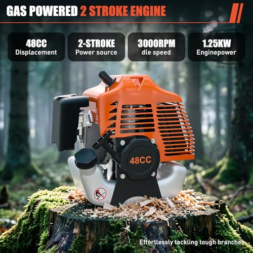 Baotree 48CC Gas Pole Saw