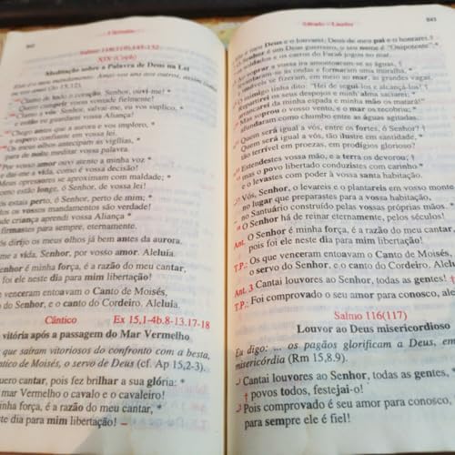 Ora&ccedil;&otilde;es di&aacute;rias Podcast Por Marcelo arte de portada