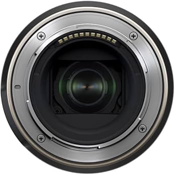 Amazon.com : 70-300mm f/4.5-6.3 Di III RXD Lens for Nikon Z with