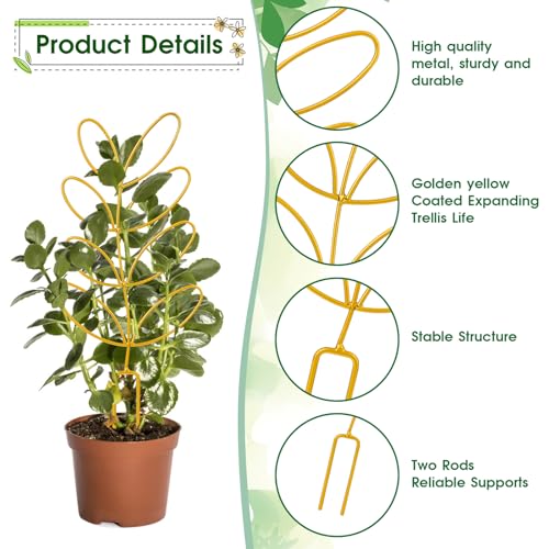 Potted Plant Trellis - Image 2
