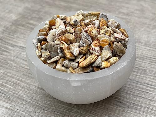 Image of Natural Semi Tumbled Fossil Coral Gemstone Chips - 2 oz Lot, Undrilled Crystal Chips
