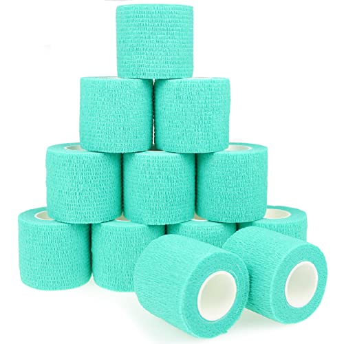 KEQCQE Lk e͕єSуe[sO oe[W ybg  LhsDz ֐߃T|[g Lk ʋC 12 (Green, 5cm)