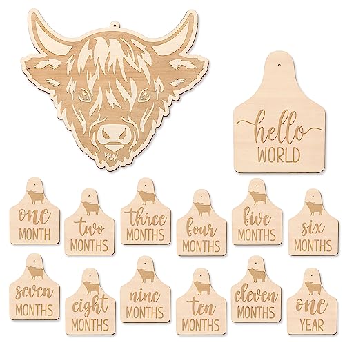 Image of Huray Rayho Highland Cow Baby Monthly Photography Props Cards Rustic Wooden Cattle Tags Newborn Scottish to Record Your Baby´s Growth, Set of 14 Reversible Cards from One Month to One Year