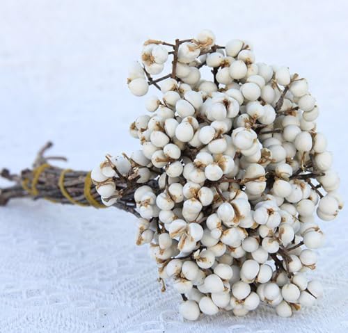 Natural Dried Tallow Berries, Holly Tallow Berries, Dried Plants Floral Decor, Natural Berry Stems Bouquet for Home, Office, Wedding, Party, DIY, Craft, Props, Farmhouse Style