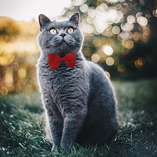 STOBOK 1 Set Halloween Pet Laços Laços Com Chapéu de Bruxa Chapéu Animal de Estimação Do Cão Do Gato