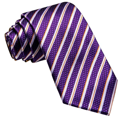 Image of Barry.Wang Silk Men Ties Formal Stripes Necktie and Tie Clip for Wedding Party Business Fashion Classic