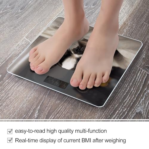 Báscula digital para baño con diseño Boston Terrier miniatura 5