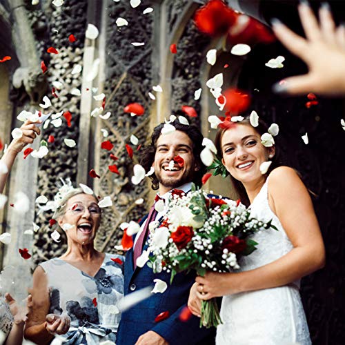 Neo Loons IVORY ARTIFICIAL PETALS-1000 1000 Pcs Artificial Silk Rose Petals Decoration Wedding Party Color Ivory thumb #3