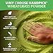 HANDPICK USDA Organic Wheatgrass Powder (10oz) Rich Green Powder - Lab Tested | 100% Whole Leaf | Gluten Free, Non-GMO | No Sugar, No Artificial Ingredients | Resealable Ziplock Pouch