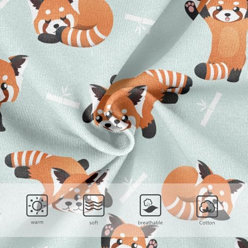 Girls Underwear Soft Cotton Cute Red Panda Kids Panties in Sizes 2/3t, 4t, 5t, 6 and 83