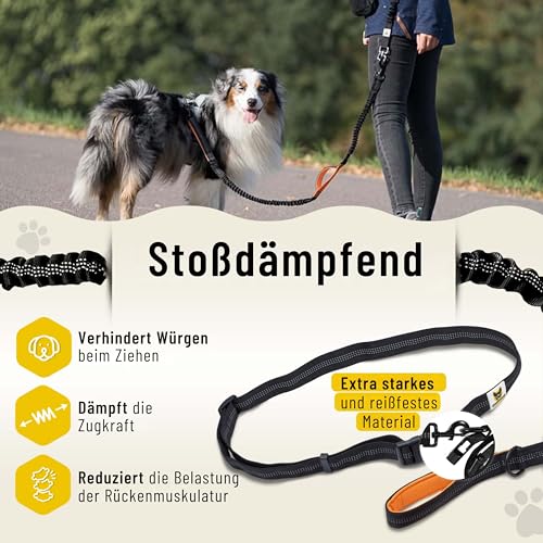 Hundefreund Joggingleine für große Hunde ab 15 kg | Elastische Freihandleine mit leichtem Bauchgurt | Abnehmbare Hundeleine mit 2 weichen Schlaufen | Orange Laufleine (120 cm, dehnbar bis 170 cm)