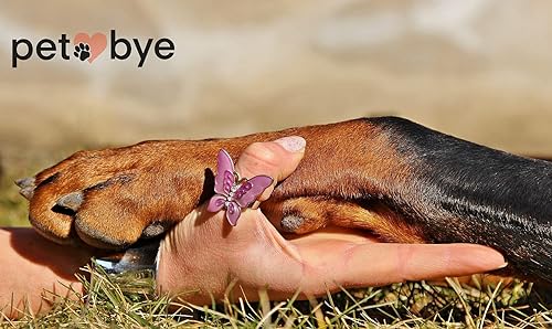 petbye Holz Kleintiersarg mit Satin Innenverkleidung - Größe L für kleine Haustiere - Tiersarg mit festem Metallverschluss - Sarg Natur aus hochwertigem Holz