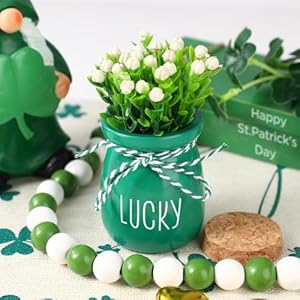 St. Patrick's Day Decorations - 6PCS Mini Glass Jars - Farmhouse St. Patrick's Day Decor for Home, Kitchen, Table, Fireplace Mantel St Patricks Day Decorations 6PCS Mini Glass Jars Farmhouse St Patricks Day Decor for Home Kitchen Table Fireplace Mantel