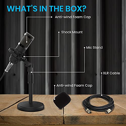 Vocal Cardioid Condenser Microphone Kit - Plug And Play, Record, And Broadcast, Cardioid Vocal And Speech Microphone, Best For Professional Broadcasting And Recording - Idance Ms1813 #TOP6