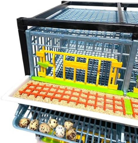 Jumbo Quail Breeding Cage Indoor: Double Layer Addition for Stackable Quail Coop, Rust-Free, Easy Egg Collect (2024: Longer Waste Trays, Removable Middle Walls) Cimuka (Jumbo) - 5
