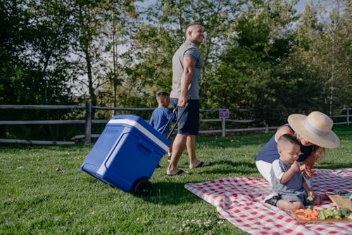 Image of Igloo Hard Coolers | Profile II Series | Insulated Ice Chests | Roller Cooler with Wheels