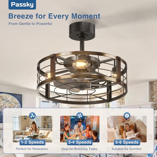 Image of Passky 20 Inch Farmhouse Caged Ceiling Fans with Lights and Remote, Black Downrod Mount Bladeless Fandelier, 6 Speeds Bladeless Ceiling Fan Light for Bedroom, Kitchen, Living Room, Indoor