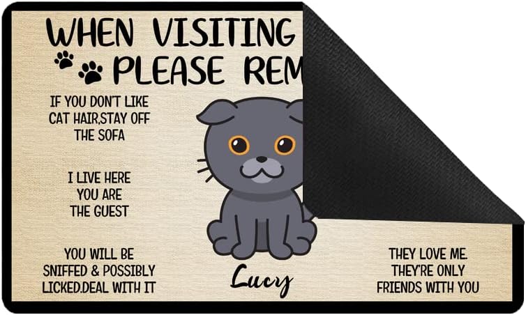 Door Mat 23.6"x15.7", Cat When Visiting My House - Custom Personalized Low Profile Floor Front Doormat Indoor Outdoor Welcome Mat Non Slip Rugs for Entryway, Patio, High Traffic Areas