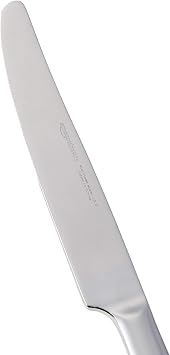 Amazon Basics Stainless Steel Table Knives with Square Edge, Pack of 12, Silver