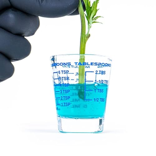 Athena Cuts (7 Oz) #TOP5