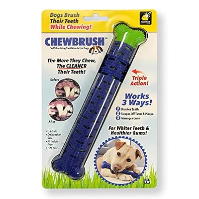 BulbHead Chewbrush Toothbrush and Toy - No Dog Toothpaste Required - Great Teeth Cleaning Toy (1 Pack)