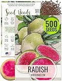 Seed Needs Radish Seeds for Planting Watermelon Radishes - Non-GMO Heirloom & Untreated - Grow a Home Grown Vegetable Garden - Cool Weather Crops (1 Pack)