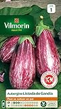  VILMORIN - BERENJENA LISTADA GANDIA