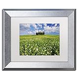 Trademark Fine Art ALI2342-S1114MF Cypress Hill by Michael Blanchette Photography, White Matte, Silver Frame 11x14-Inch, 11x14