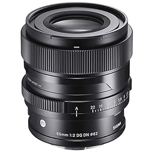 Sigma 65mm f/2 DG DN Contemporary Lens for Leica L Mount Mirrorless Cameras (353969)